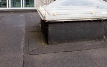 disadvantages of Elan Village flat roofs